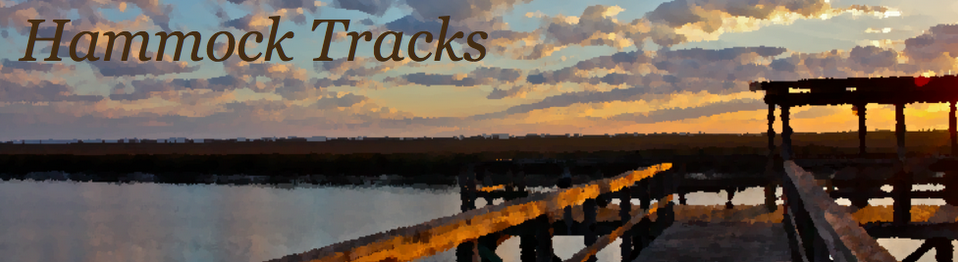 Hammock Track Tales
