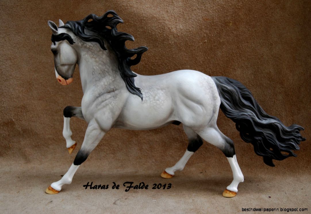 Andalusian Grey  My Blog