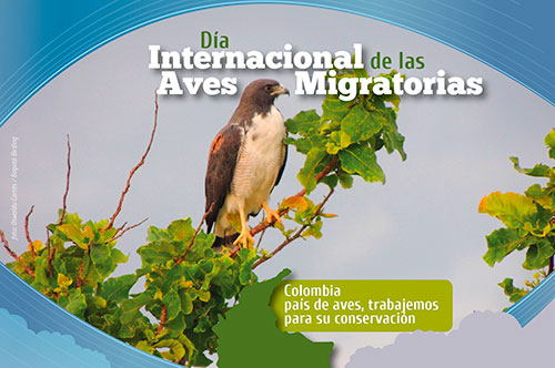 Enojado Sillón enfocar PROYECTO "GUARDIANES DEL TEMPLO DEL JAGUAR: Por un Planeta Mejor::HOY: 9 de  mayo: Día Mundial de las Aves Migratorias
