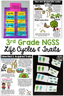 Inheritance and Variations of Traits: Life Cycles and Traits 3rd Grade