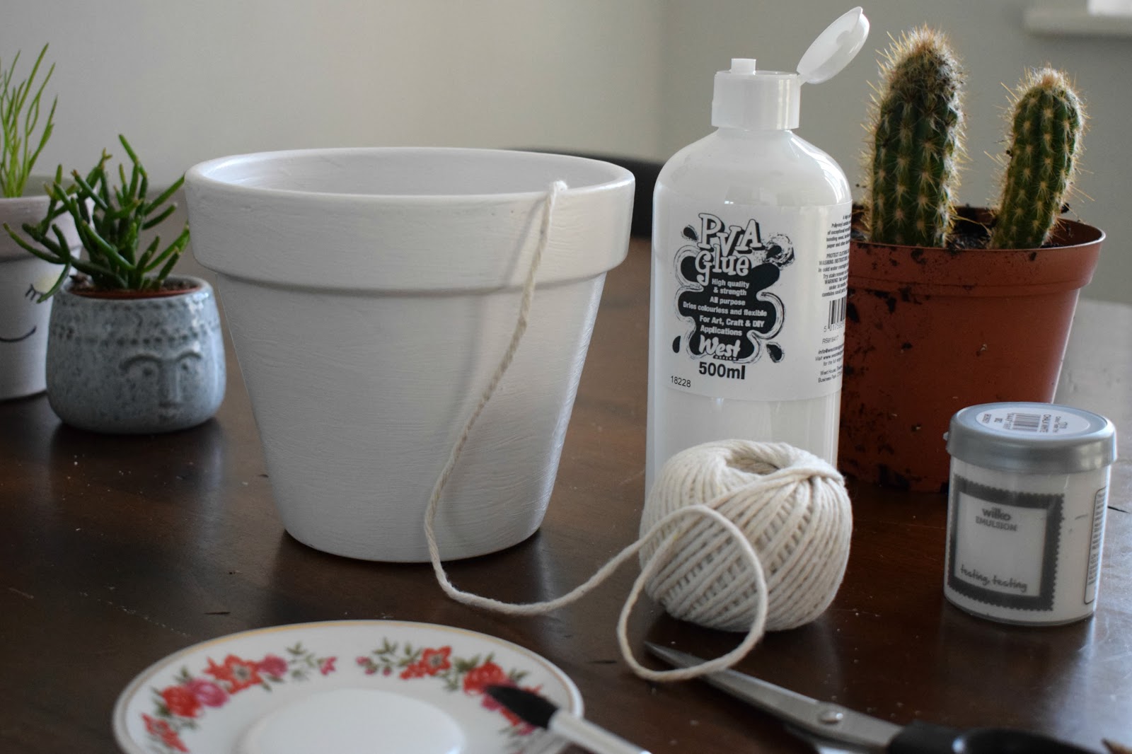 DIY how to make a cute cacti pot