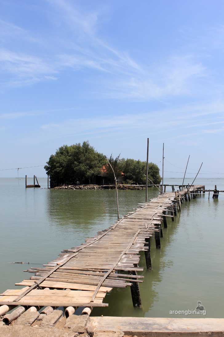 taman mangrove morosari demak