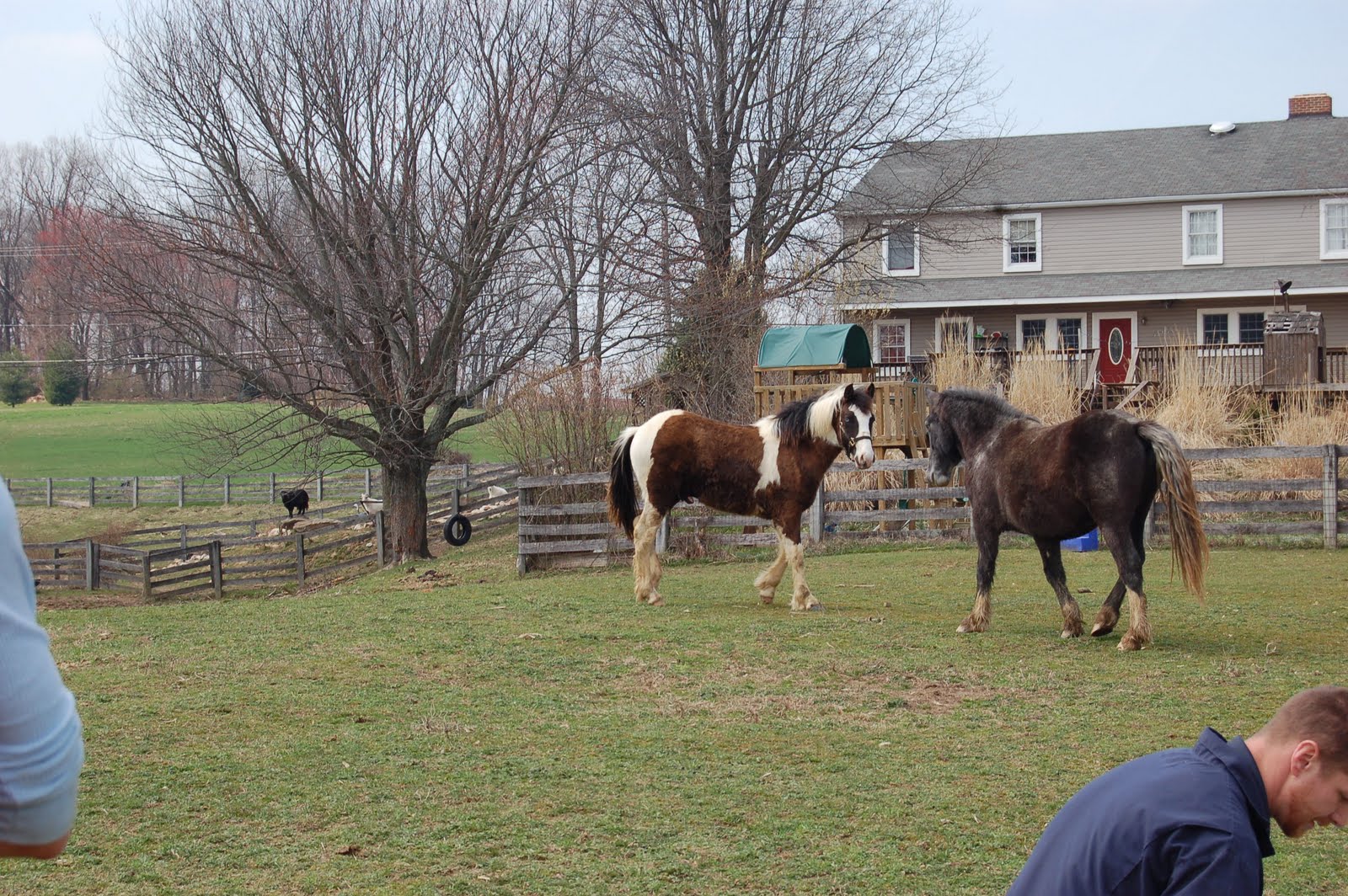 Life on the Funny Farm Farm Friday The Testicles Have Left the Building