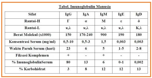 Immunoglobulin Ig Biologi