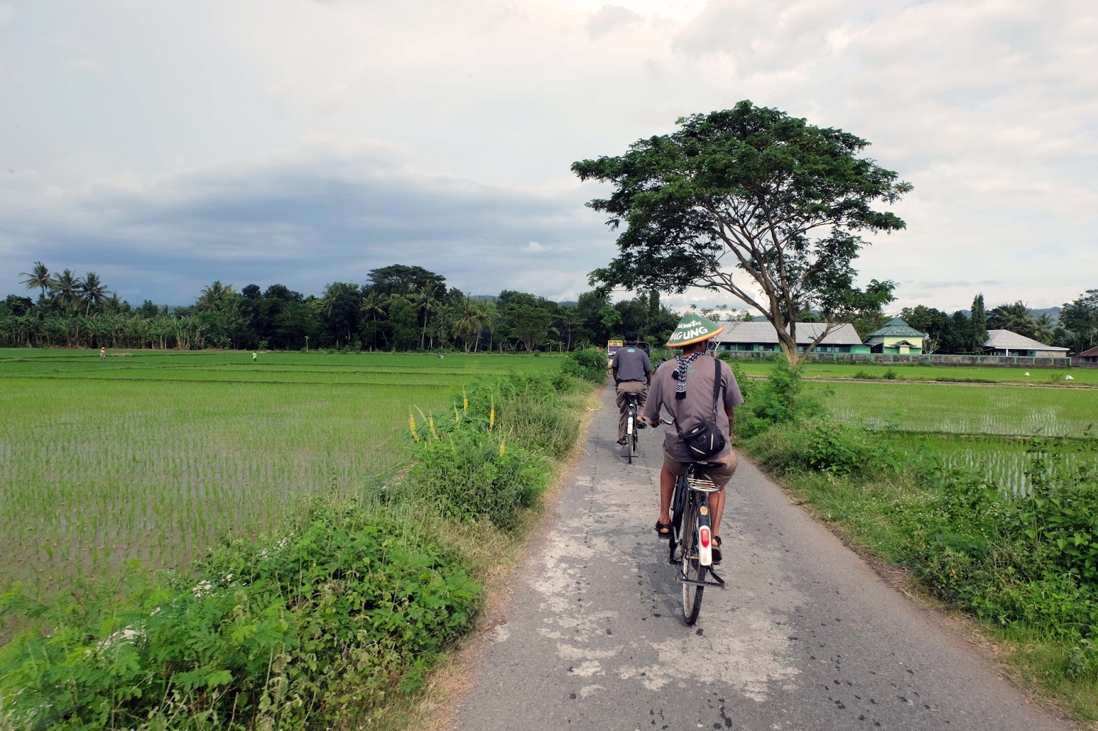 Bertamu Sejenak Di Desa Wisata Kebonagung Jogja Cewealpukat Com