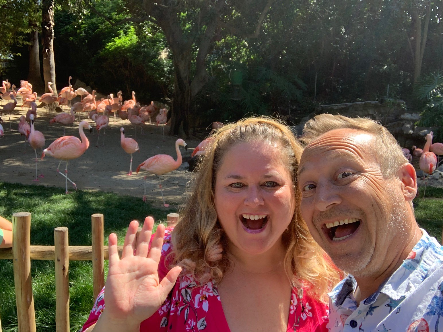 Thinking Pink La Zoo Day Part Three