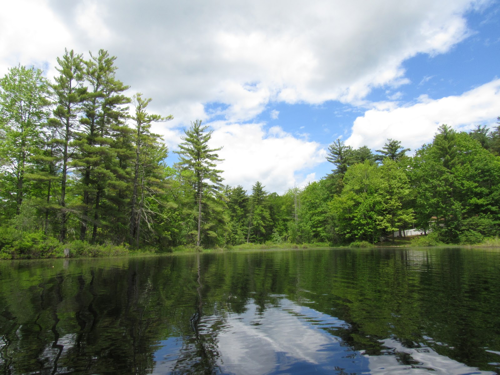 Recreational Kayaking in Maine Wadleigh Pond (Wadley Pond), Lyman