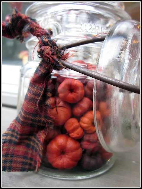 little pumpkins in mason jar with bow