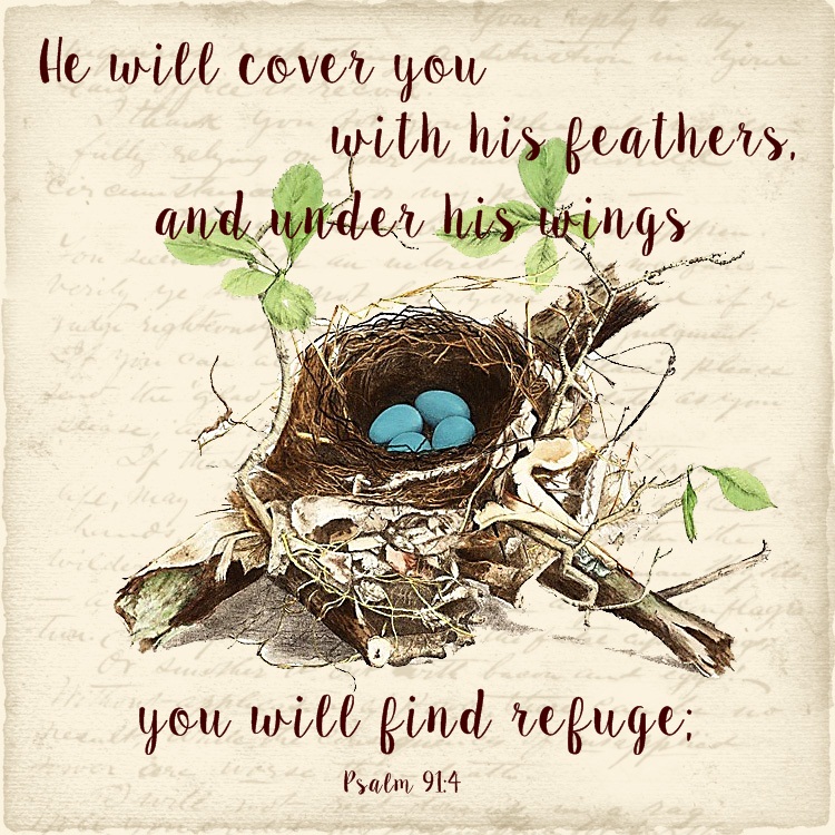 Shoregirl's Creations Bird's Nest Freebie