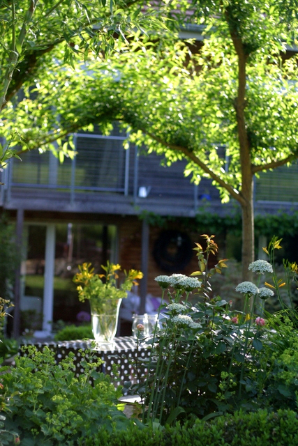 Der alljährliche Weidenschnitt