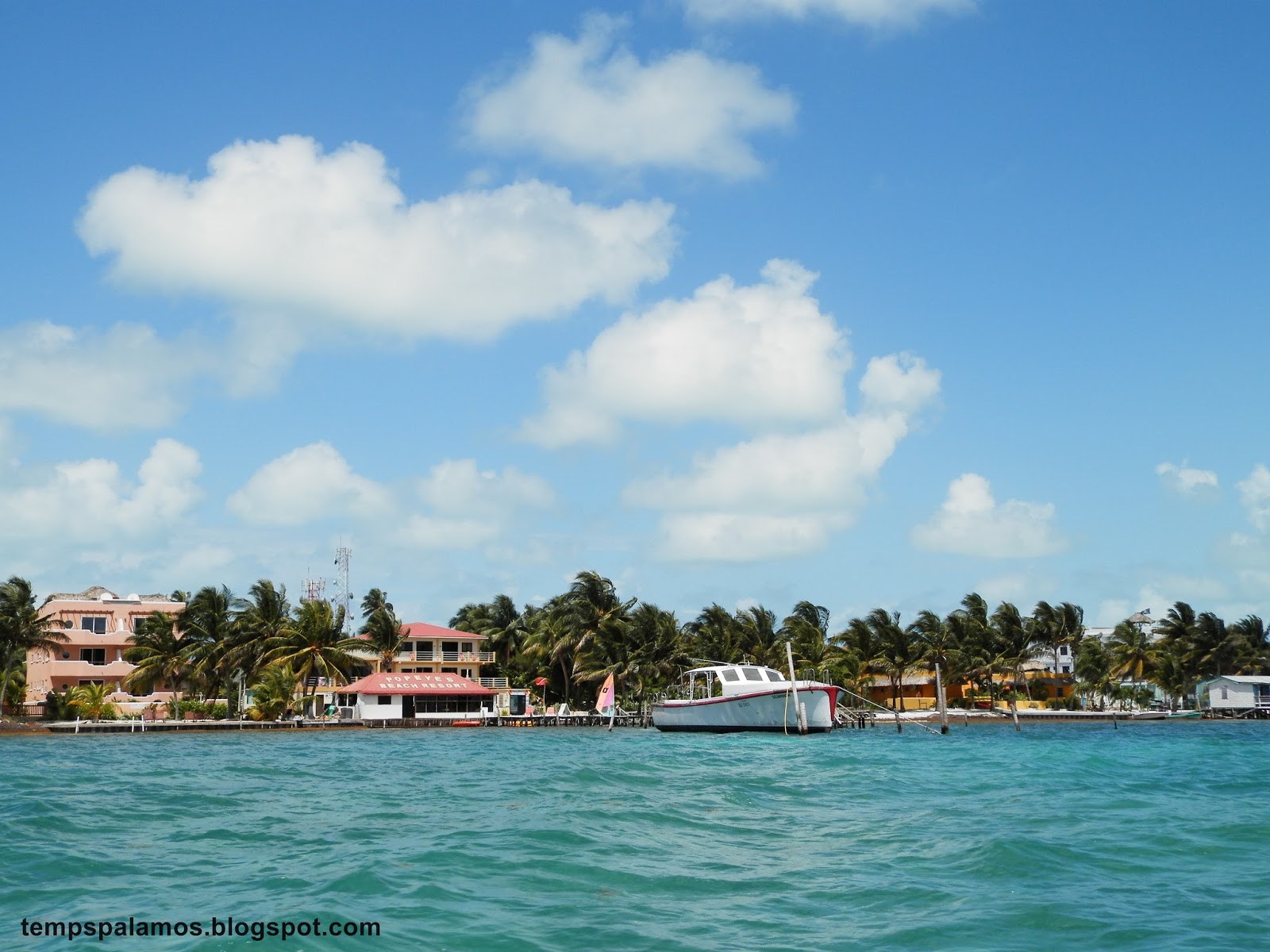 El temps a Palamós Belize nedant entre taurons