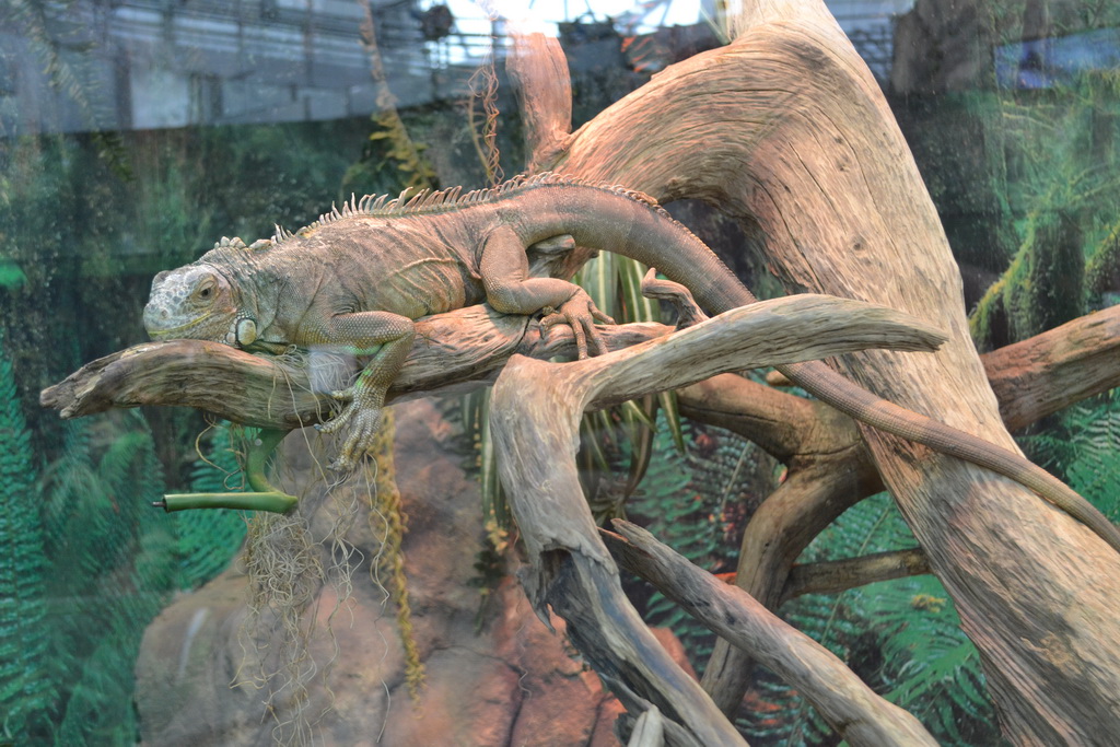 Московский зоопарк экзотариум