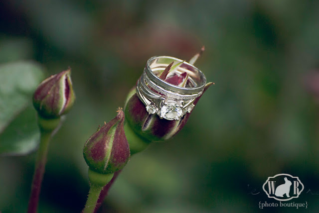 Wedding Rings {White Rabbit Photo Boutique}
