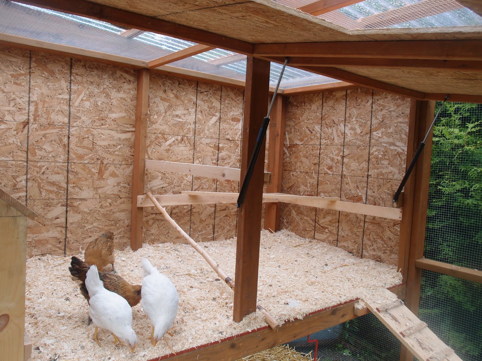 The interior panel of the coop swings completely open and is held up ...