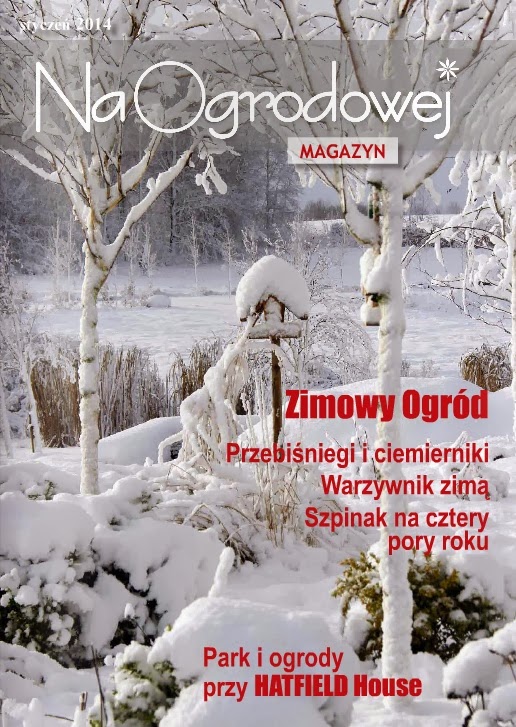 Nasz e-Magazyn ZIMA 2014