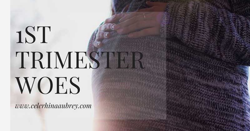 Pregnancy Update: 1st Trimester Woes - ReigningStill