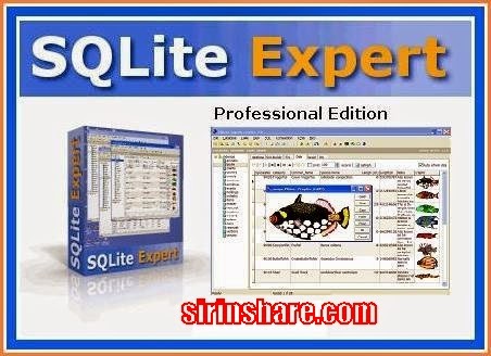 sqlite browser support