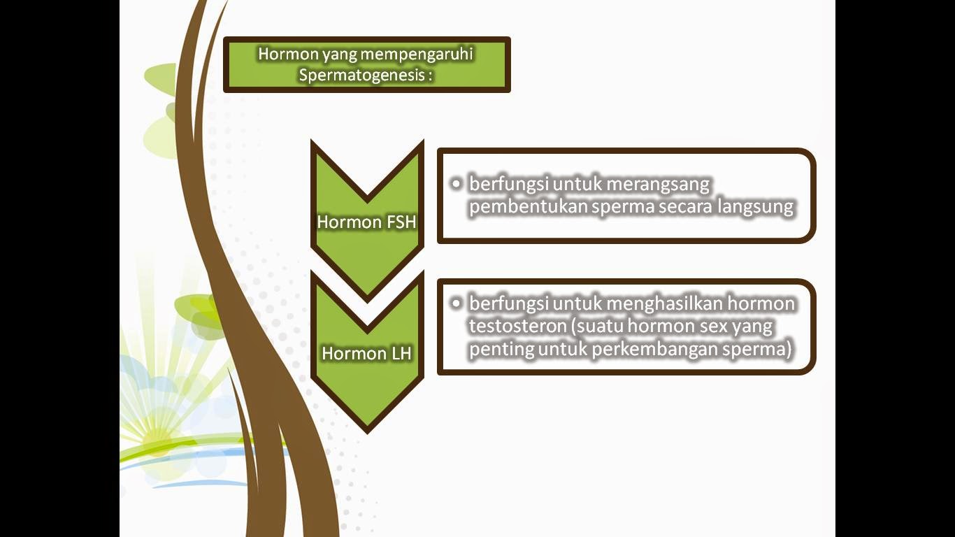 Job application slideshare picture