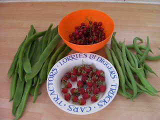 homegrown produce: redcurrants, raspberries and 2 kinds of bean