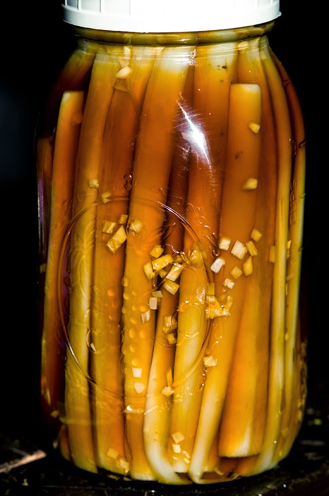 Pickled Burdock Root
