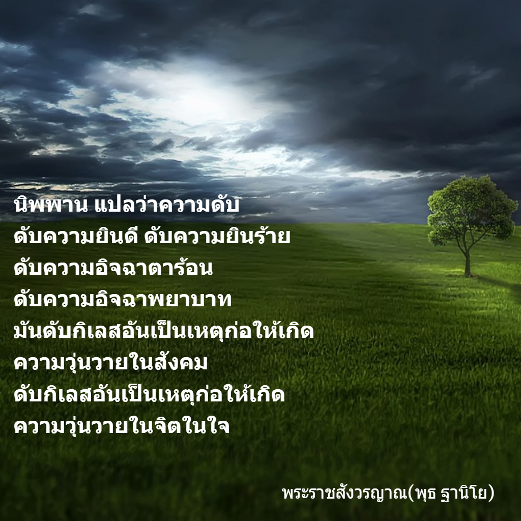 My Image 31