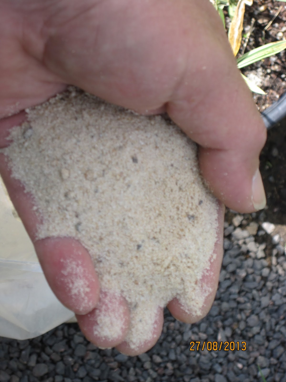 Exactly what is and Where Do I Find Coarse Sand for Rooting Cuttings? -  Mike's Backyard Nursery
