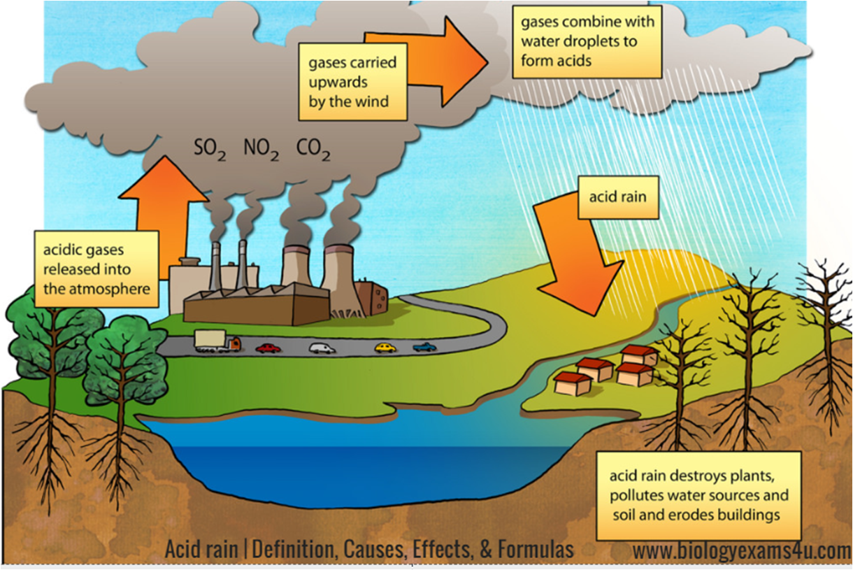 Acid Rain Worksheet Answers - Escolagersonalvesgui