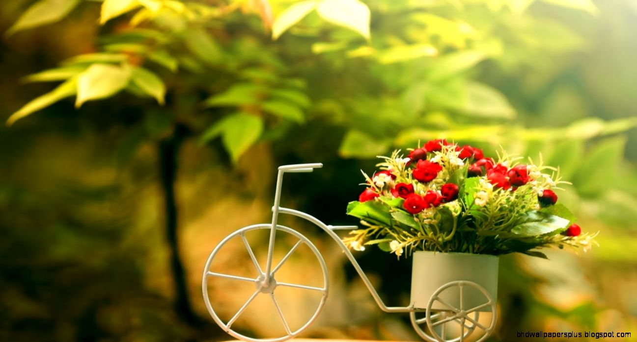 Trendy Wallpaper   All Wallpapers New