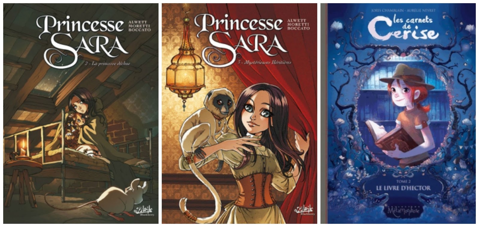 Le Carnet De Sara Histoire Vraie Harmonie Littéraire: 2015