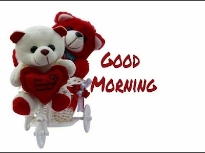 teddy bear teddy bear