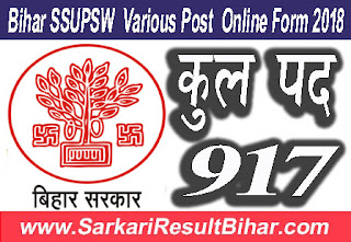 SSUPSW Bihar Recruitment 2018 | 917 Driver Post 