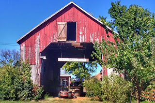 Rocklands farm vineyard