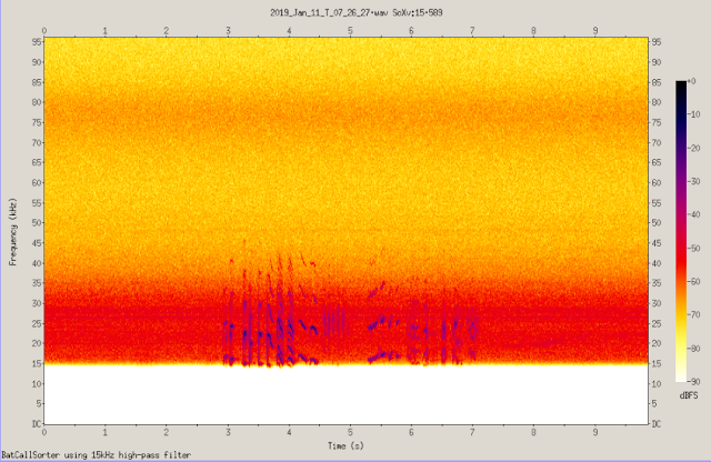 spectrogram bat detector ultramic dodotronic Gambas Raspberry pi