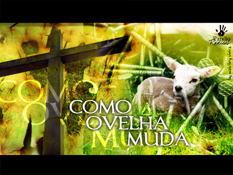 Como Ovelha Muda Foi Levado Ao Matadouro