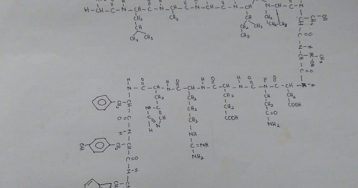 Схема полипептида