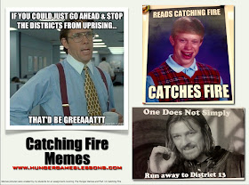 Catching Fire Memes - Created by Students