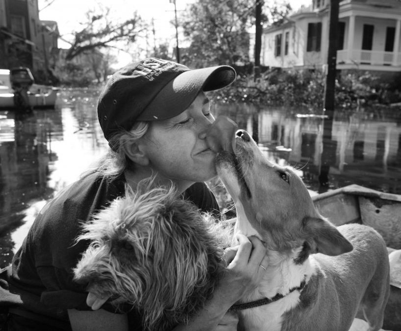 Famous Dogs in History Hurricane Katrina Benefits Dogs and Other Pets