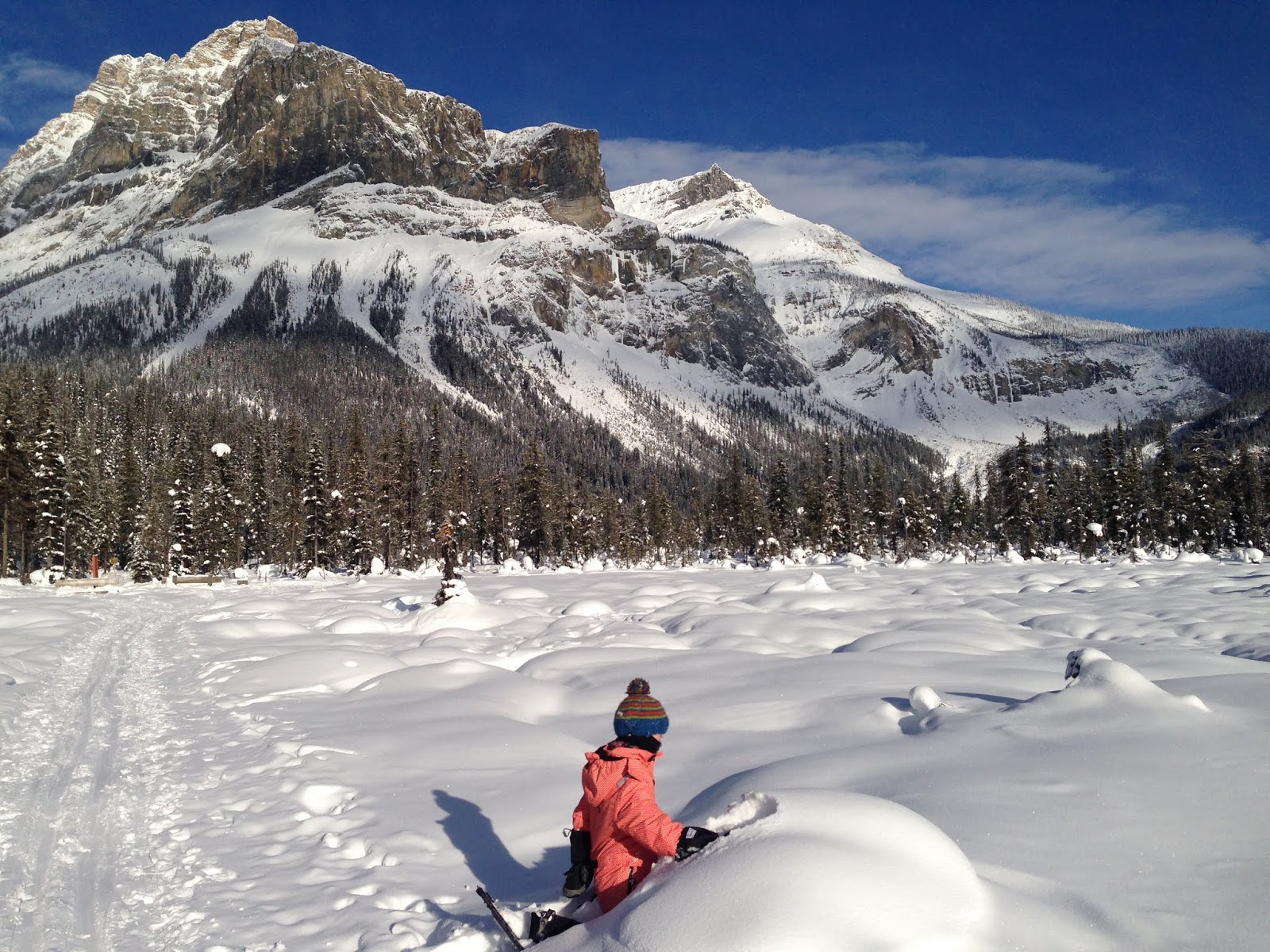 Snowshoeing in the Meiko wilderness - Out in the Nature