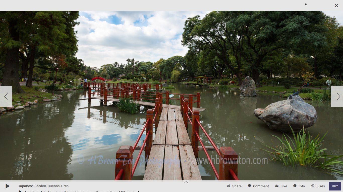 Hommy Backyard Japanese Tea House Garden