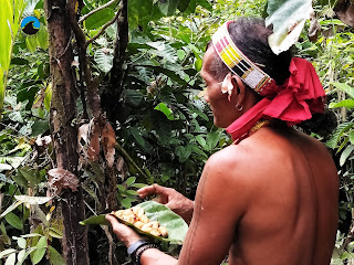 Suku Sikerei Mentawai