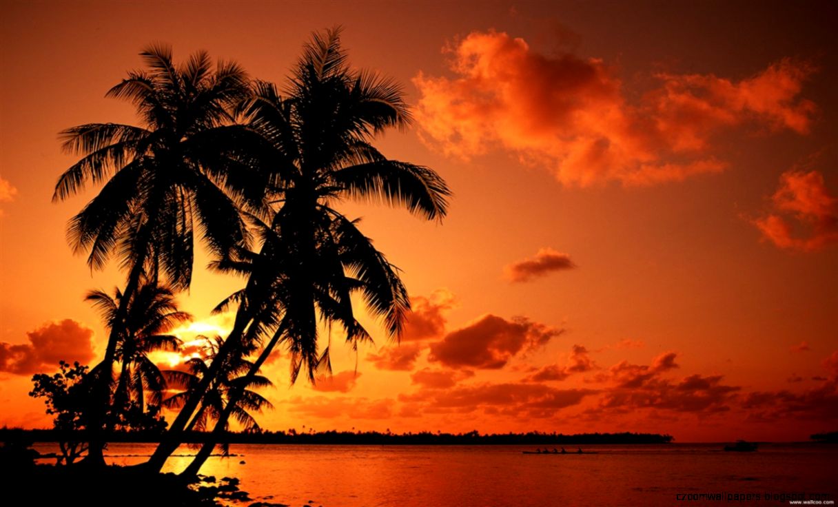 Tropical Island Sunset Wallpaper   HD wallpapers n