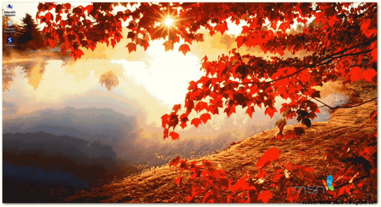 MSN Wallpaper and Screensaver Pack Autumn Download   Softpedia