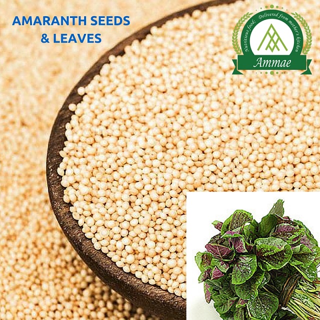 Amaranth Not a grain, more than a that !!! Ammae Food Products