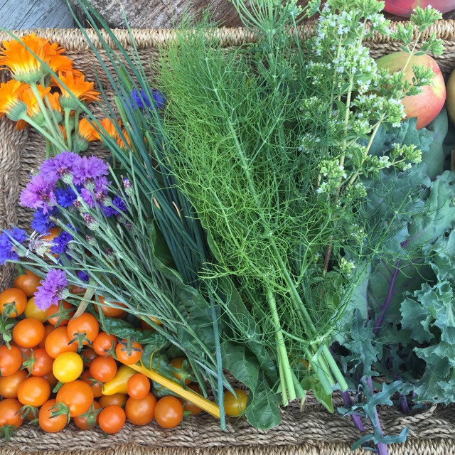 Garden Harvest