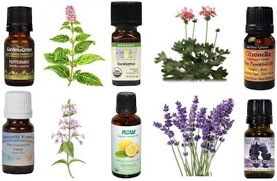 Peppermint, Spearmint, Lavender, Cloves, Citronella Spray for cats and dogs