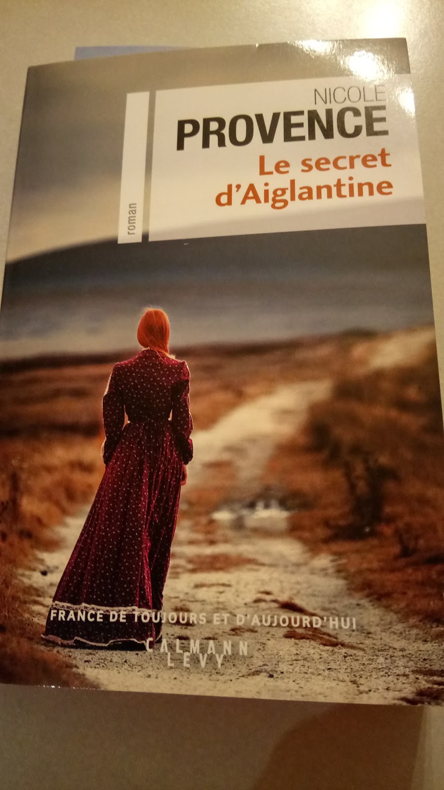 Les curiosités de Didi ! Le secret d'Aiglantine de Nicole Provence