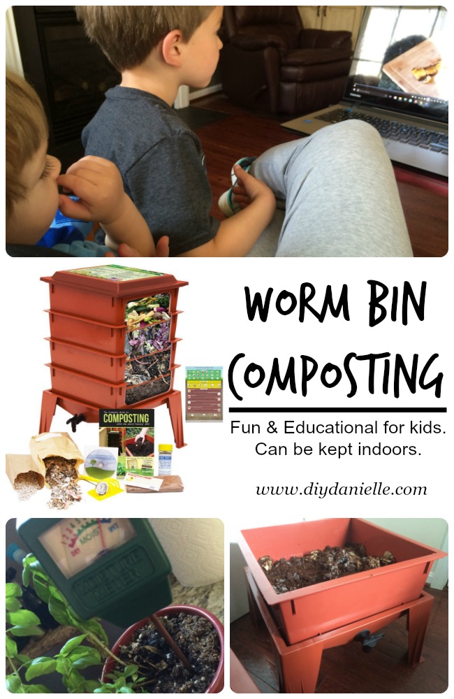 Worm Bin Composting 101: How to Setup a Worm Bin, Pro's and Con's, and What to Add to It. Intro to Worm Bin Composting