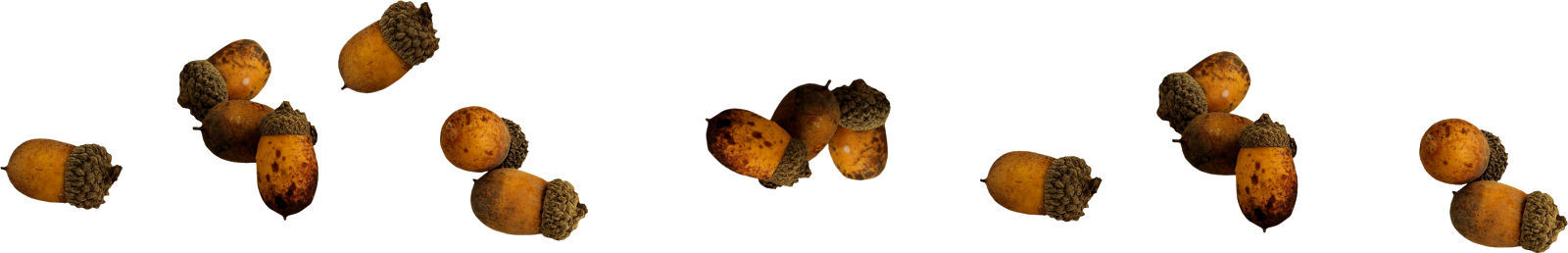 Схема игры шишки желуди орехи