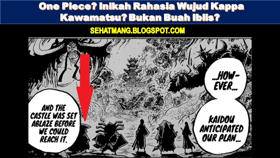 One Piece December 1978