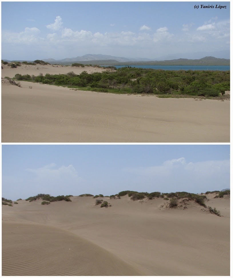 Ningún lugar está lejos... en RD: marzo 2014